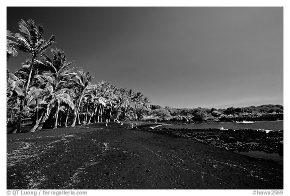 Black sand beach at Punaluu. Big Island, Hawaii, USA (black and white)