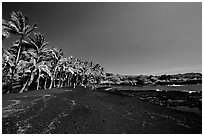 Black sand beach at Punaluu. Big Island, Hawaii, USA ( black and white)