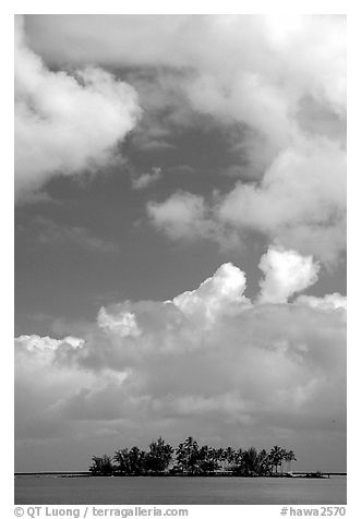 Islet with tropical trees near Hilo. Big Island, Hawaii, USA (black and white)