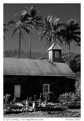 Church (1860) and palm trees, Keanae Peninsula. Maui, Hawaii, USA (black and white)