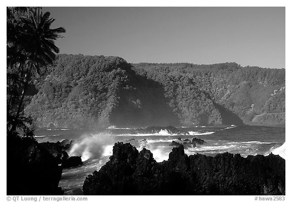 Steep Hana coast seen from the Keanae Peninsula. Maui, Hawaii, USA (black and white)