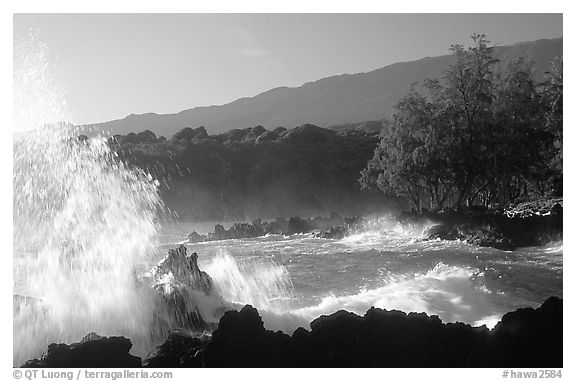 Crashing wave, Keanae Peninsula. Maui, Hawaii, USA