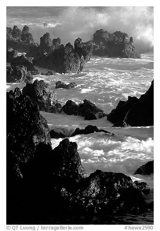 Sharp volcanic Rocks and surf, Keanae Peninsula. Maui, Hawaii, USA (black and white)