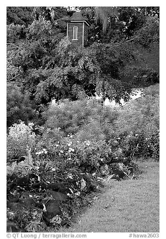 Graveyard of the Palapala Hoomau church in Kipahulu. Maui, Hawaii, USA (black and white)