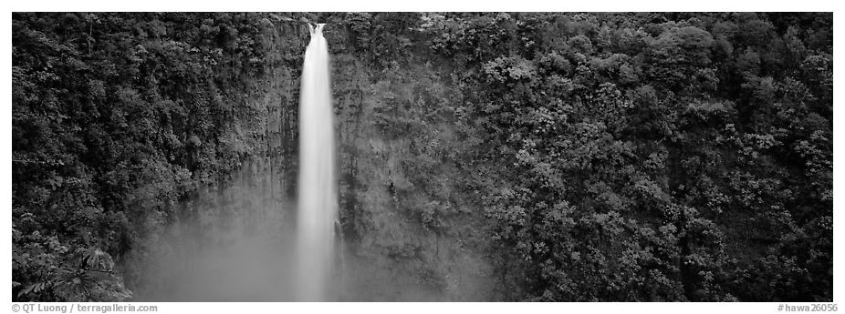 Tropical waterfall. Akaka Falls State Park, Big Island, Hawaii, USA (black and white)