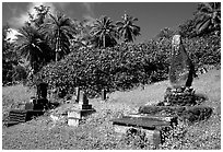 Japanese cemetery in Hana. Maui, Hawaii, USA ( black and white)