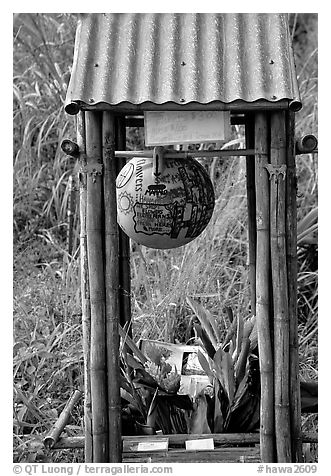 Self-serve flower and fruit stand. Maui, Hawaii, USA