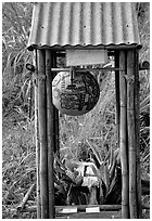 Self-serve flower and fruit stand. Maui, Hawaii, USA (black and white)