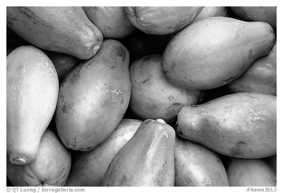 Green Papayas. Maui, Hawaii, USA (black and white)