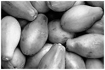 Green Papayas. Maui, Hawaii, USA (black and white)