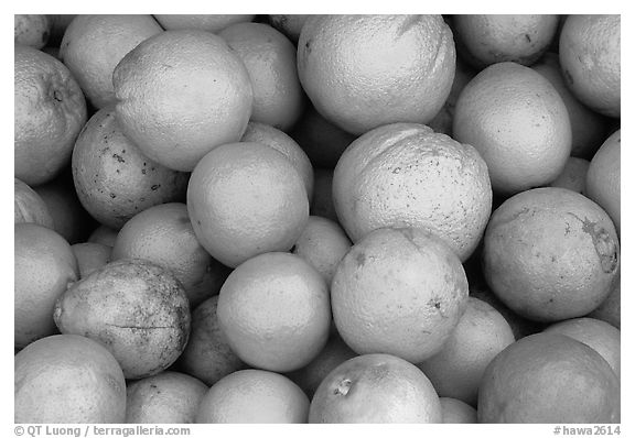 Oranges. Maui, Hawaii, USA (black and white)