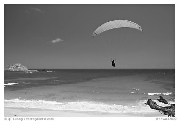 Paragliding above Makapuu Beach. Oahu island, Hawaii, USA (black and white)