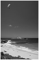 Makapuu Beach with paraglider above. Oahu island, Hawaii, USA (black and white)