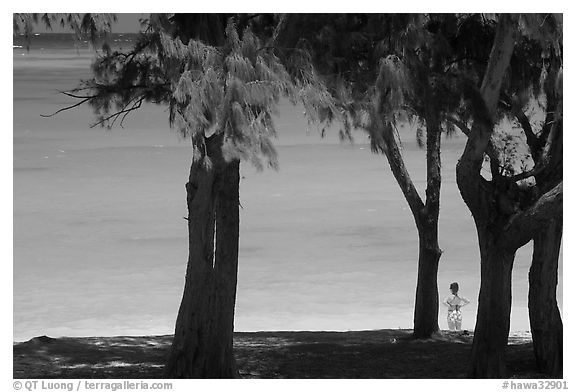 Turquoise waters and woman seen through Horsetail Ironwoods (Casuarina equisetifolia) at Waimanalo Beach. Oahu island, Hawaii, USA (black and white)