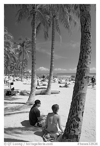 Couple under palm trees on Waikiki beach. Waikiki, Honolulu, Oahu island, Hawaii, USA (black and white)