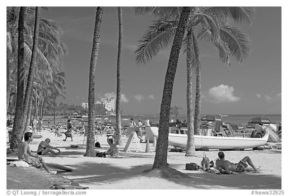 Beach scene with palm trees. Waikiki, Honolulu, Oahu island, Hawaii, USA (black and white)