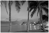 Palm trees and Waikiki beach at dusk. Waikiki, Honolulu, Oahu island, Hawaii, USA (black and white)