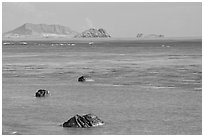 Rocks and turquoise waters near Makai research pier. Oahu island, Hawaii, USA (black and white)