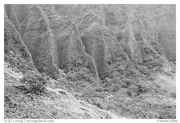 Flutted mountains near Pali highway,. Oahu island, Hawaii, USA (black and white)