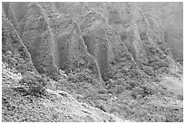 Flutted mountains near Pali highway,. Oahu island, Hawaii, USA ( black and white)