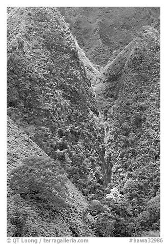 Steep walls covered with vegetation, Koolau Mountains. Oahu island, Hawaii, USA (black and white)