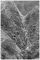 Steep walls covered with vegetation, Koolau Mountains. Oahu island, Hawaii, USA (black and white)