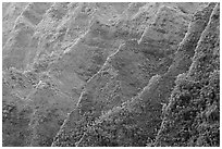 Steep ridges covered with tropical vegetation, Koolau Mountains. Oahu island, Hawaii, USA ( black and white)