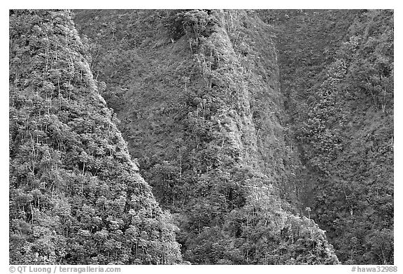 Steep ridges near Pali Highway, Koolau Mountains. Oahu island, Hawaii, USA