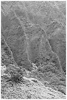 Hillside and Pali. Oahu island, Hawaii, USA (black and white)