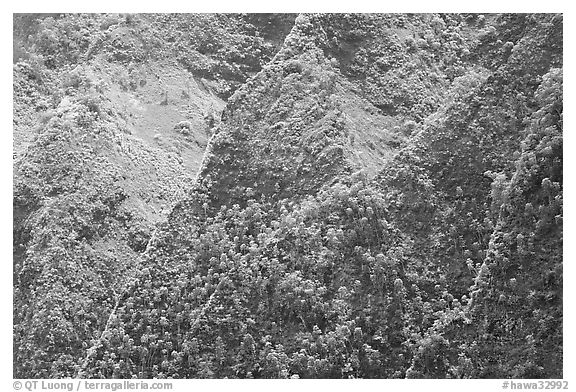 Ridges on pali. Oahu island, Hawaii, USA (black and white)