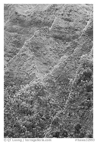 Ridges on pali. Oahu island, Hawaii, USA