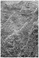 Ridges on pali. Oahu island, Hawaii, USA ( black and white)