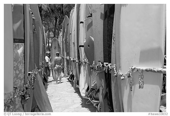 Racks of surfboards. Waikiki, Honolulu, Oahu island, Hawaii, USA (black and white)