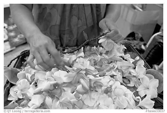 Fresh flowers used for lei making, International Marketplace. Waikiki, Honolulu, Oahu island, Hawaii, USA (black and white)