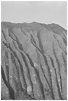 Fluted mountains, Koolau range, early morning. Oahu island, Hawaii, USA ( black and white)