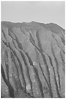 Fluted mountains, Koolau range, early morning. Oahu island, Hawaii, USA ( black and white)