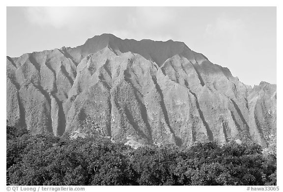 Fluted mountains, Koolau range, early morning. Oahu island, Hawaii, USA (black and white)