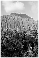 Tropical forest and fluted  Koolau Mountains. Oahu island, Hawaii, USA (black and white)