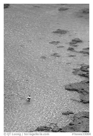 Snorkler,  Hanauma Bay. Oahu island, Hawaii, USA (black and white)