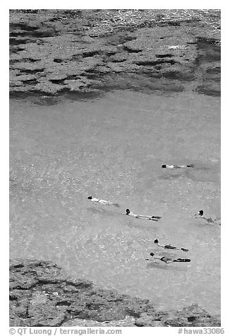 Swimming in Hanamau Bay with snorkels. Oahu island, Hawaii, USA (black and white)