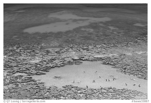 Turquoise pool in Hanauma Bay. Oahu island, Hawaii, USA (black and white)