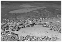 Turquoise pool in Hanauma Bay. Oahu island, Hawaii, USA ( black and white)