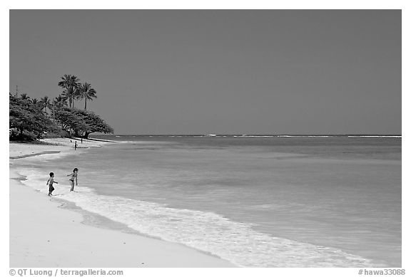 Beach, north shore. Oahu island, Hawaii, USA