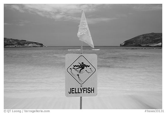 Sign warning against jellyfish,  Hanauma Bay. Oahu island, Hawaii, USA