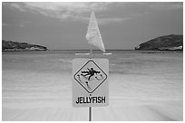 Sign warning against jellyfish,  Hanauma Bay. Oahu island, Hawaii, USA (black and white)