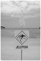 Sign warning against jellyfish,  Hanauma Bay. Oahu island, Hawaii, USA (black and white)