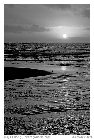 Sun and bird, mouth of the Wailua River. Kauai island, Hawaii, USA (black and white)