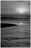 Sun and bird, mouth of the Wailua River. Kauai island, Hawaii, USA ( black and white)