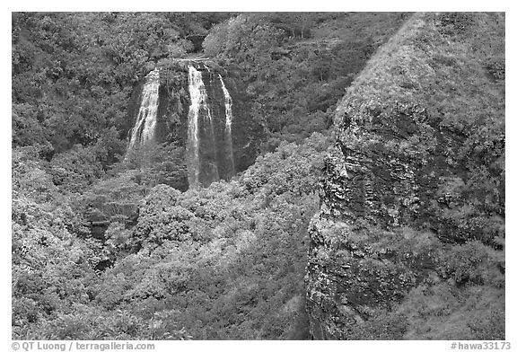 Opaekaa Falls and cliff. Kauai island, Hawaii, USA (black and white)