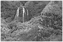 Opaekaa Falls and cliff. Kauai island, Hawaii, USA (black and white)